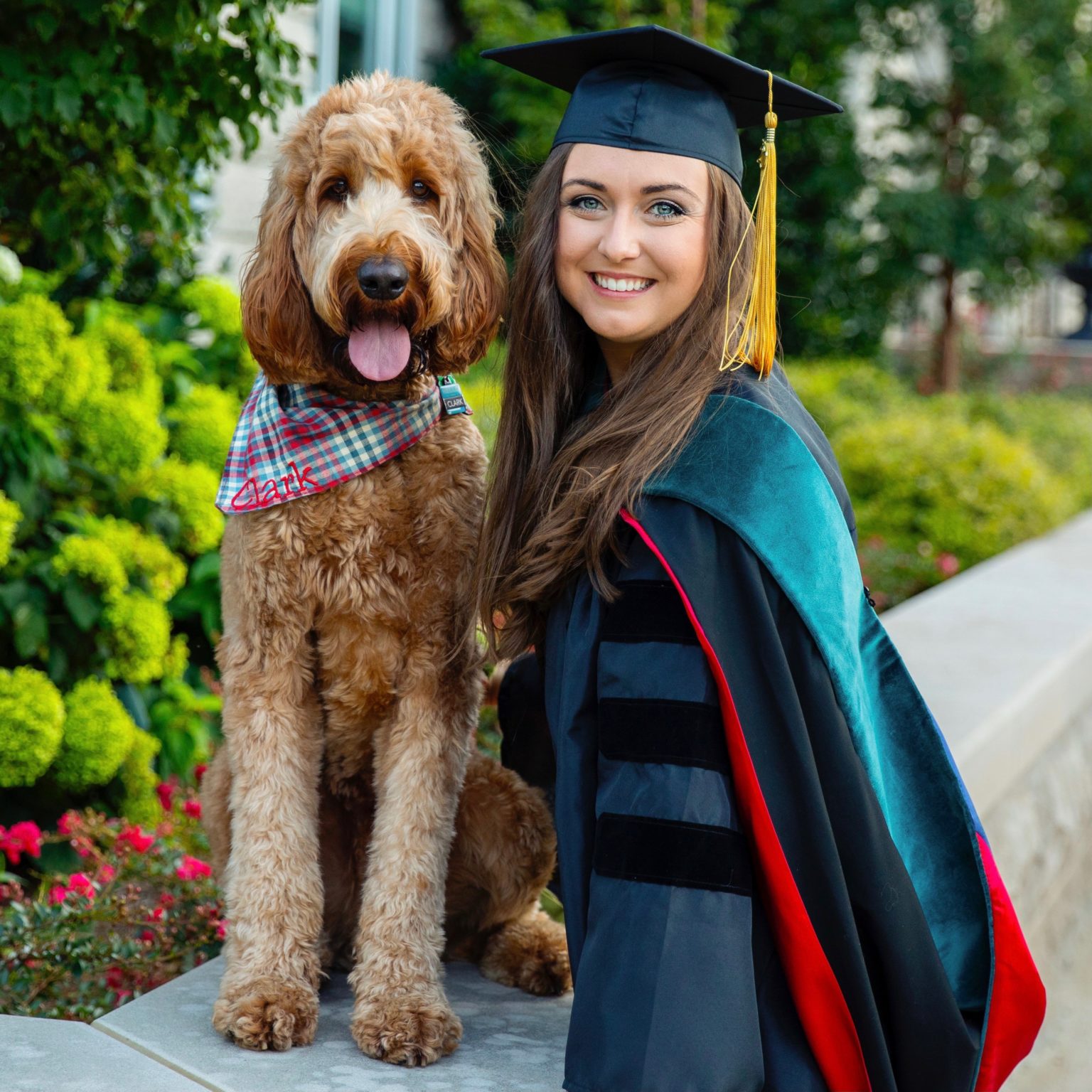 dog trainer nashville dog trainer nashville